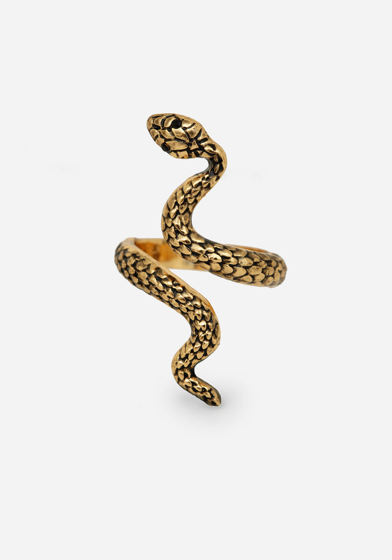 Damballa Snake Ring - Gold