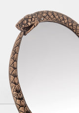 Snake Mirror